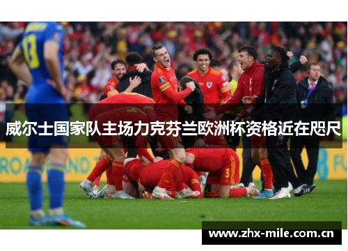 威尔士国家队主场力克芬兰欧洲杯资格近在咫尺 威尔士国家队主场力克芬兰欧洲杯资格近在咫尺