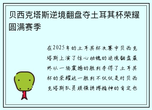 贝西克塔斯逆境翻盘夺土耳其杯荣耀圆满赛季 贝西克塔斯逆境翻盘夺土耳其杯荣耀圆满赛季