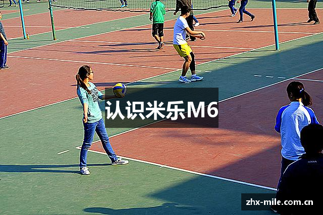 认识米乐M6